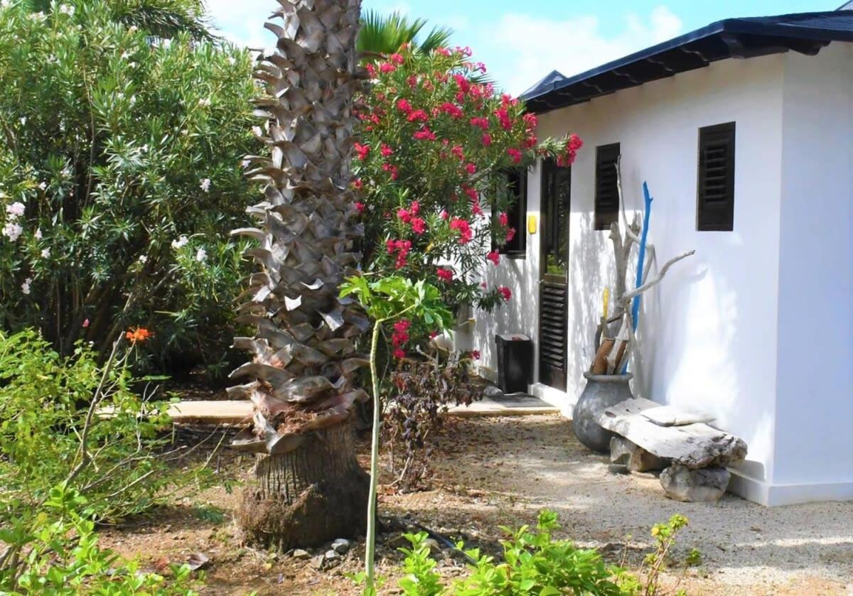 Villa De Agua 7 In Waterlands Village Playa Exterior foto